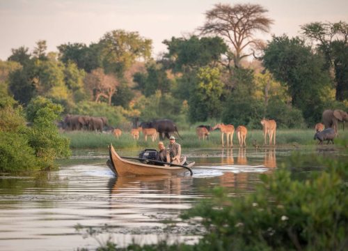 Safari en mokoro : voyage au cœur du delta de l’Okavango au Botswana