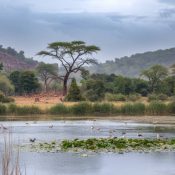 Title : Botswana : conseils pour un voyage aventureux en saison des pluies
