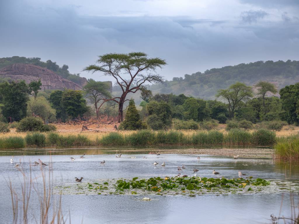 Title : Botswana : conseils pour un voyage aventureux en saison des pluies