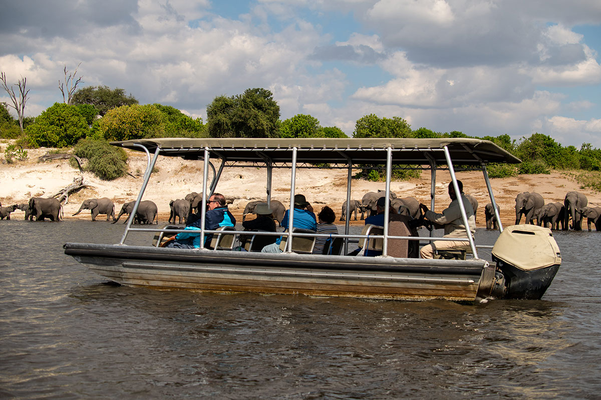 croisière Chobe
