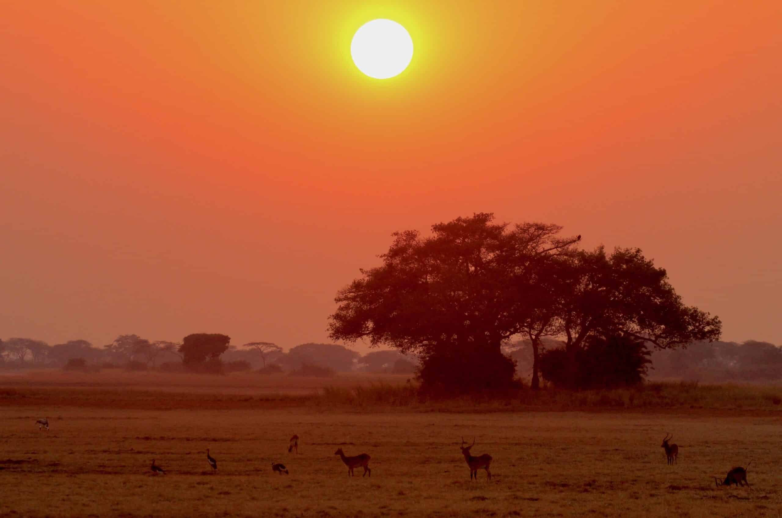 Coucher de soleil Kafue