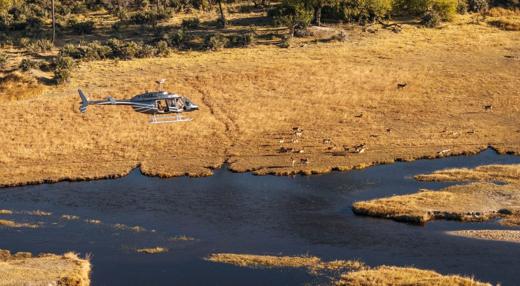 helicopter horizon