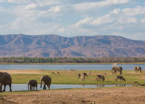 Mana Pools National Park