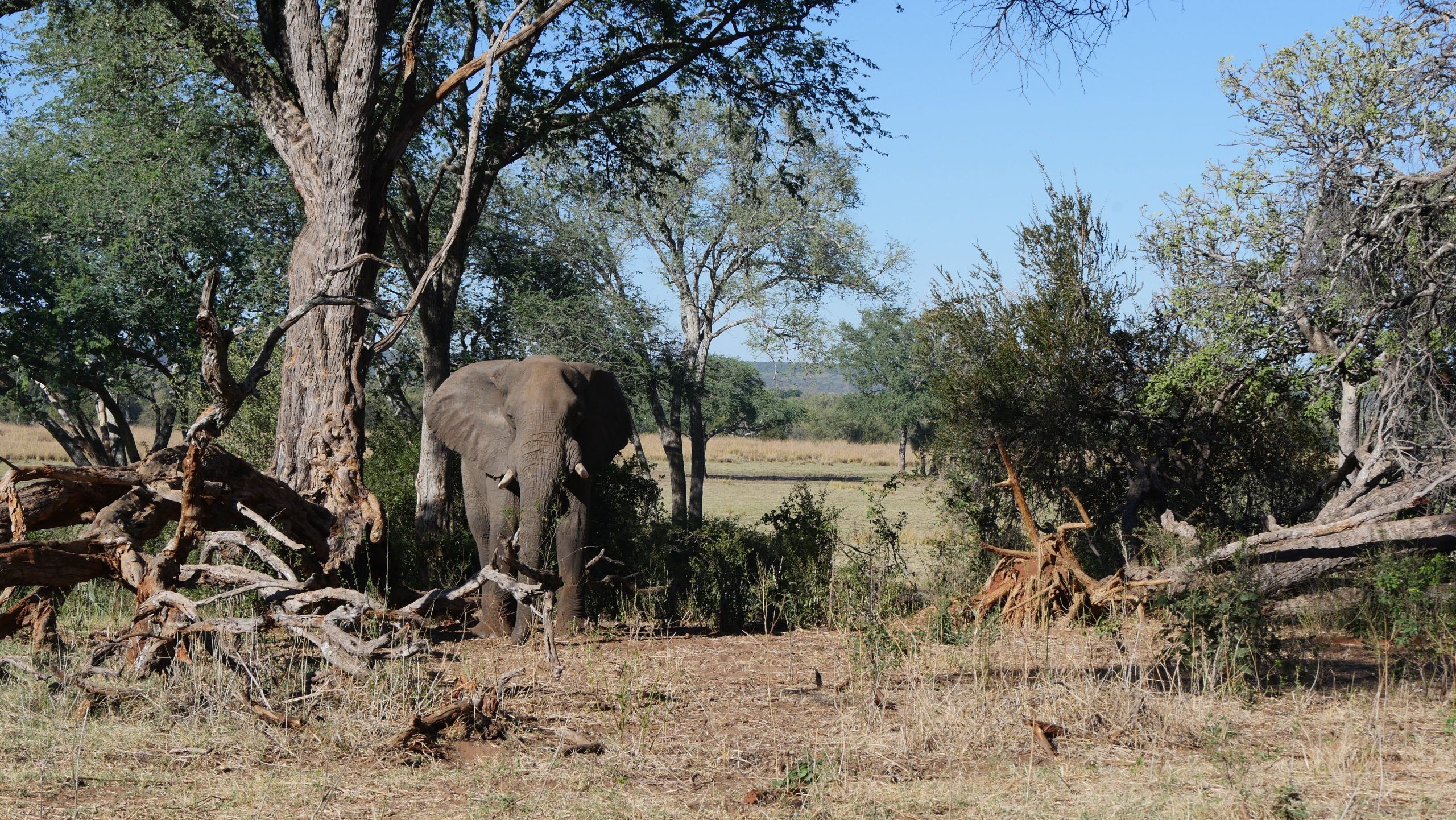 Mosi-oa-Tunya National Park