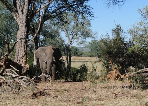 Mosi oa Tunya National Park